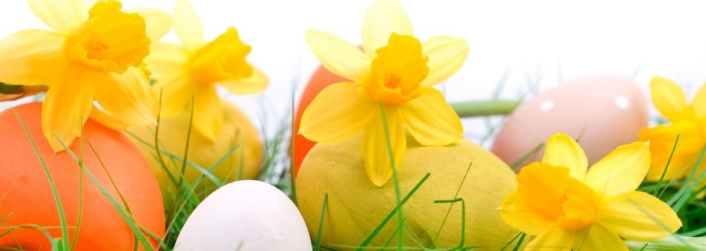 Wir wünschen Ihnen frohe Ostern.