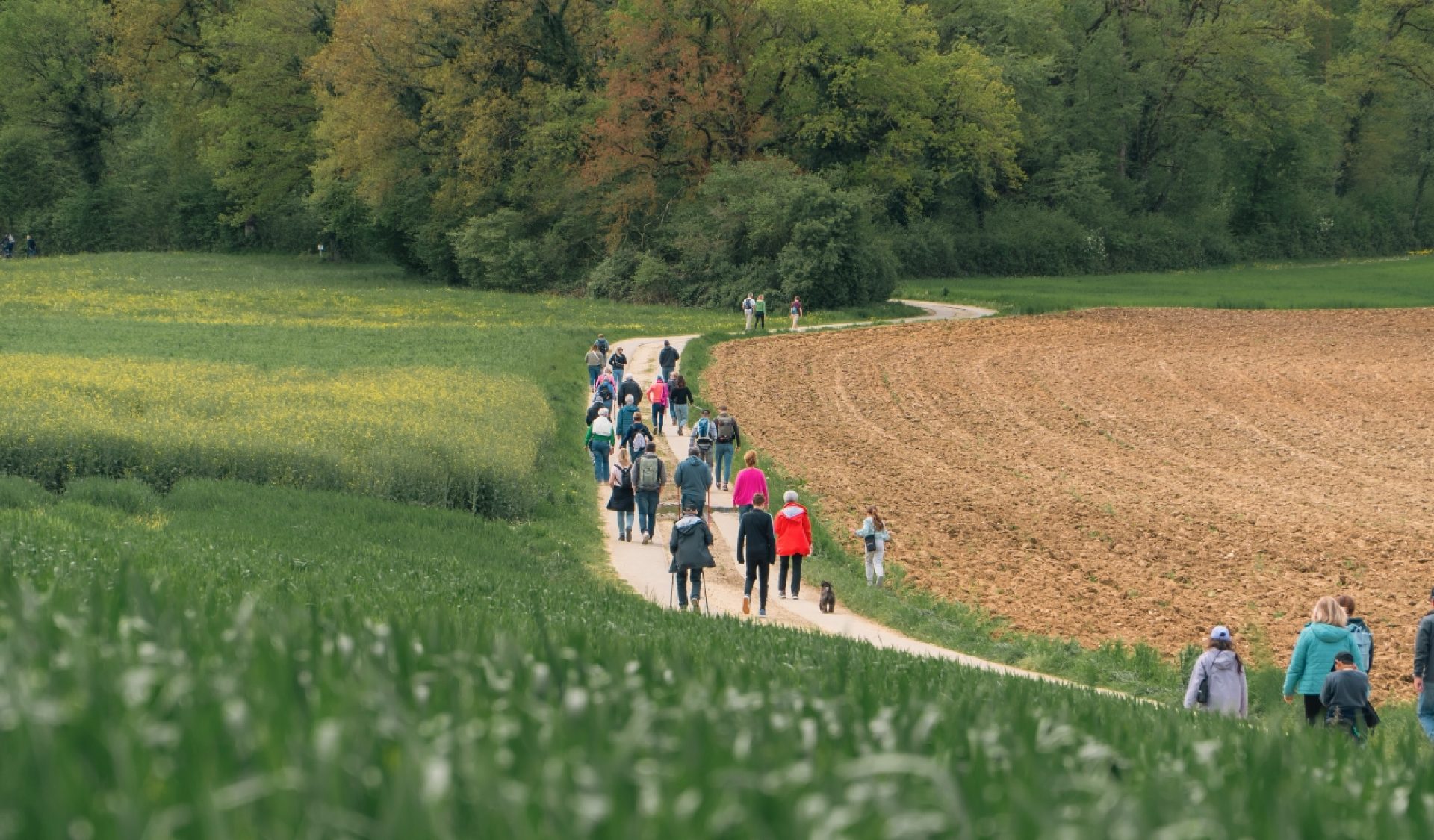 balade-gourmande-raiffeisen-ajoie-2024