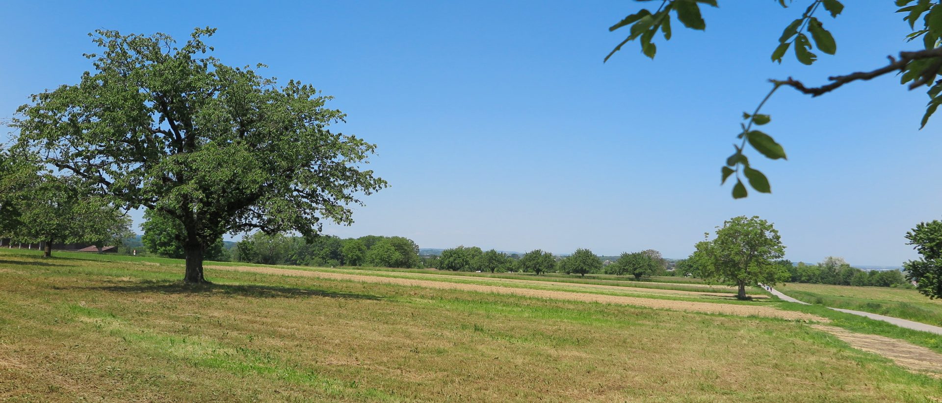 Löibere – hoch hinaus