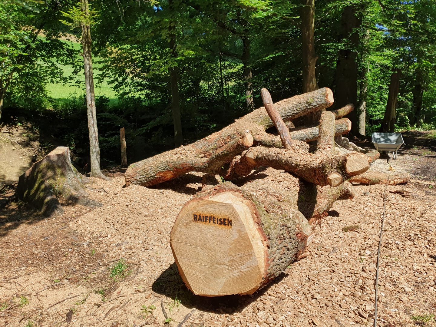 Kletterkrone für die Kinder