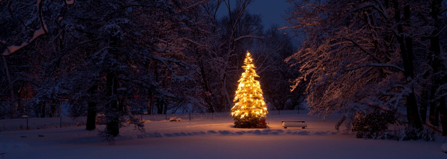 Weihnachtsbaum