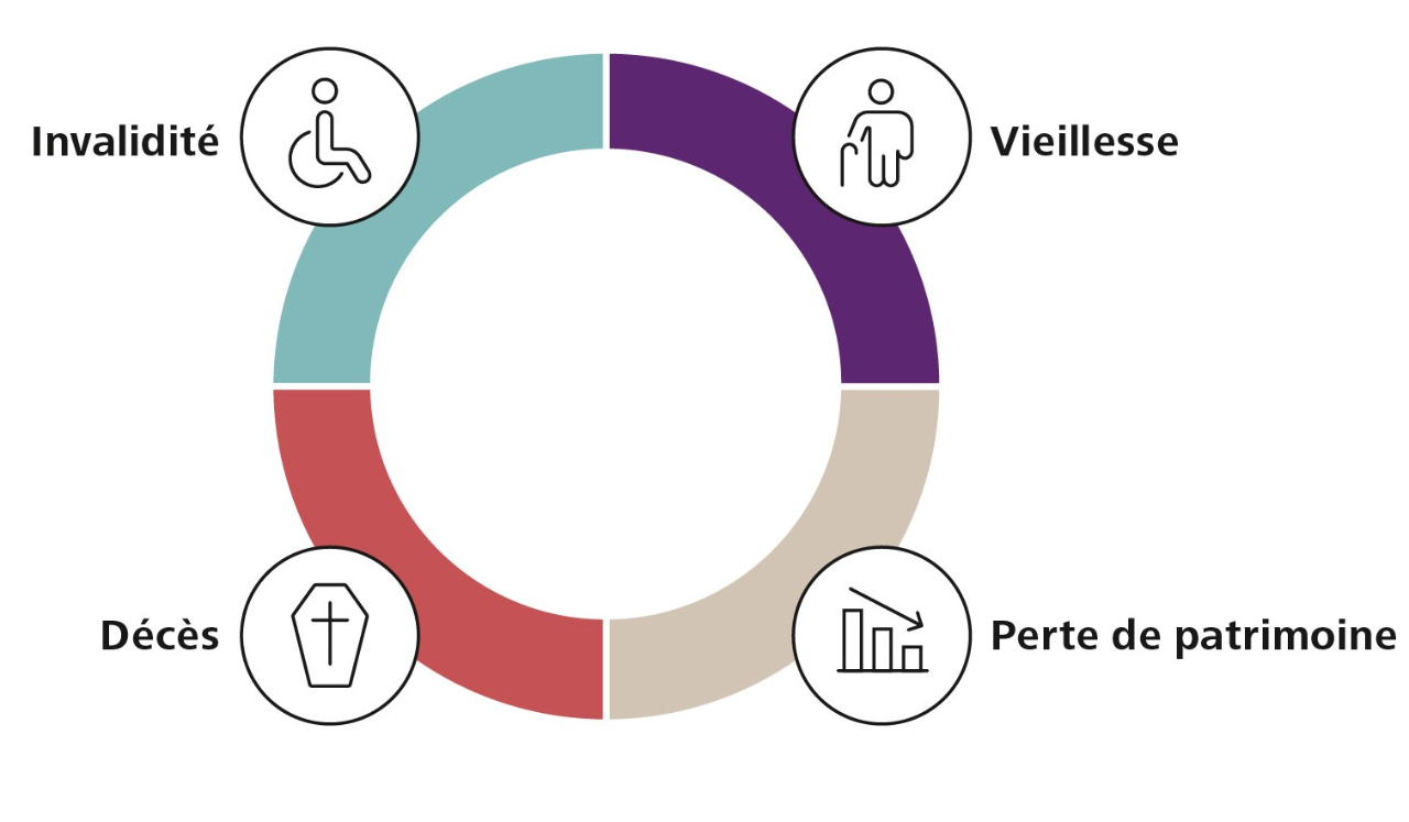 Graphique du conseil en prévoyance et en assurance