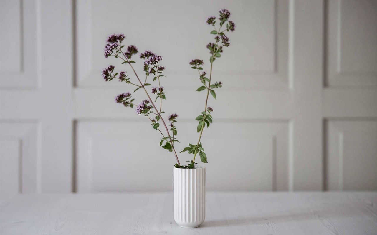 Stilleben mit Wildblumen in Lyngby Vase